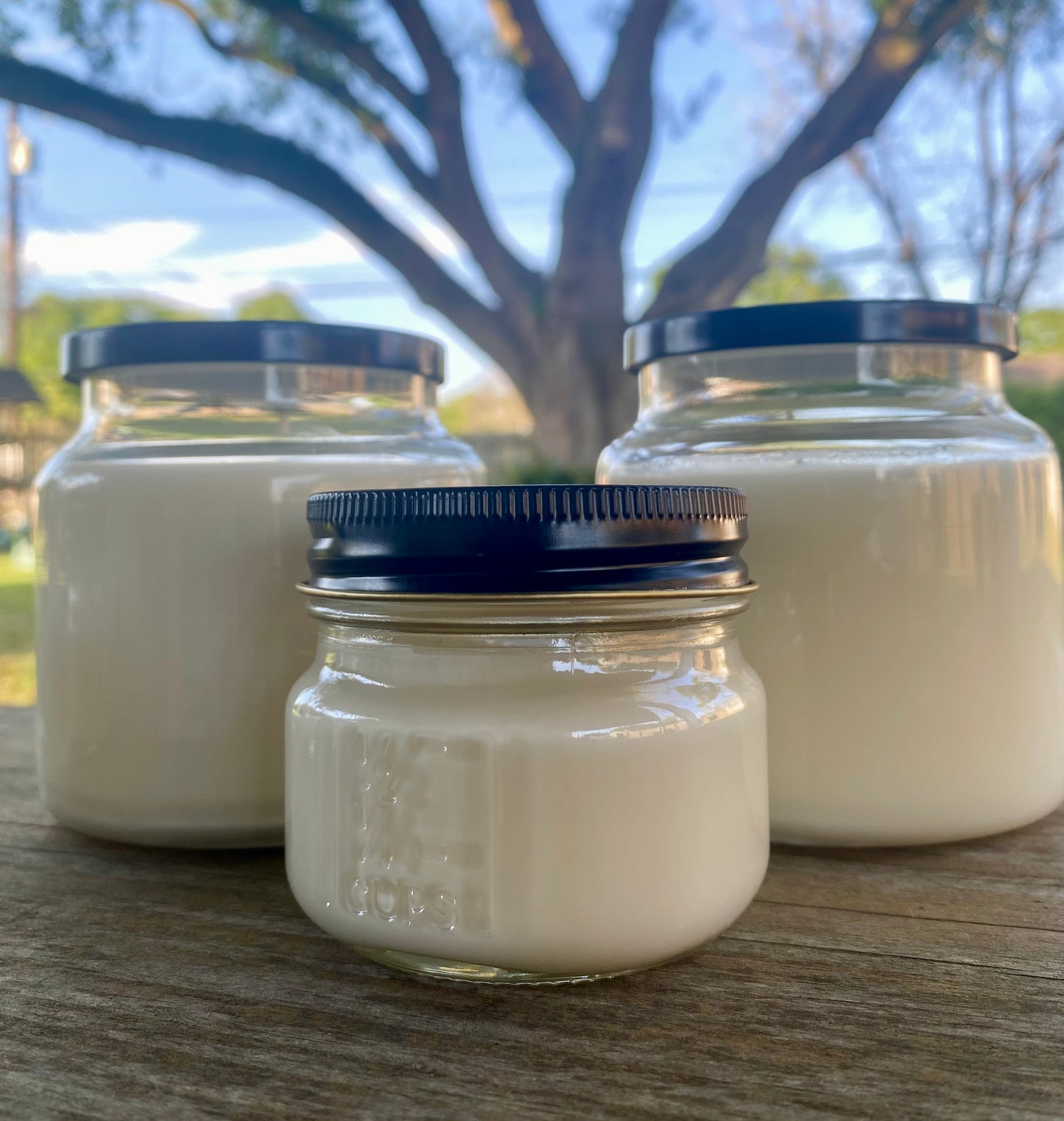 Large All Natural Soy Candle